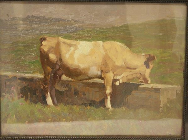 Alberto Zardo  MUCCA   olio su cartone  cm  27.5x37.5