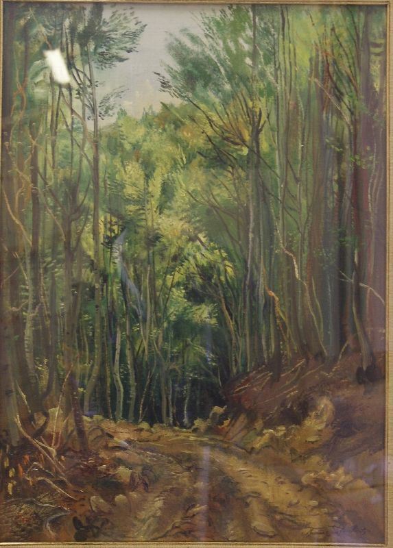 Romano Stefanelli  PAESAGGIO BOSCHIVO  olio su compensato, cm 50x70