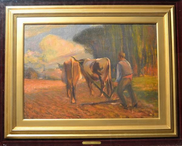 Giulio Cesare Vinzio (Livorno 1881 - Milano 1940)  L'ARATURA olio su tela, cm 37x52 firmato