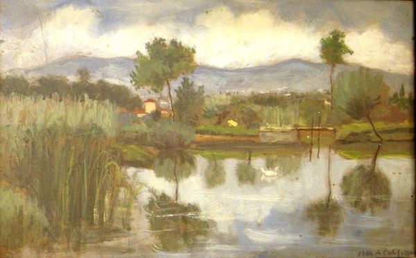 Alberto Caligiani (Grosseto 1894-1973)  PAESAGGIO LACUSTRE  olio su cartone telato, cm 24x37