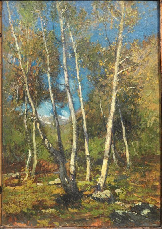 Riccardo Galli (Milano 1869 - Como 1944)    BETULLE AL SOLE olio su tavola, cm 50x35                                                     sul retro della tavola iscritto Alagna - Valsesia , Betulle al sole
