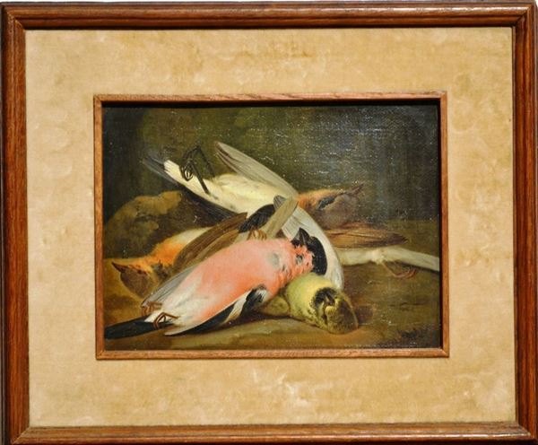 Maniera della pittura francese del Settecento                                NATURA MORTA CON UCCELLINI                                                   olio su tela, cm 18,5x24,5