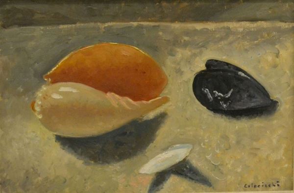 Giovanni Colacicchi ( Anagni 1900-Firenze 1992 )  NATURA MORTA CON CONCHIGLIE  olio su tela, cm 20x30