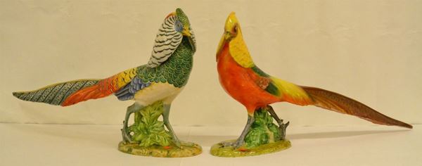 Coppia di fagiani, produzione Manifattura Zaccagnini, 1950 circa, ceramica policroma, alt. cm 32 lungh. cm 59. Recano marchio Z. Zaccagnini A 783 e Z. Zaccagnini A 782, uno con lieve sbocconcellature (2)