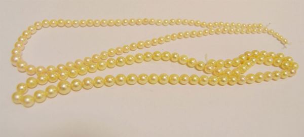 Due fili di perle coltivate degradanti(2)