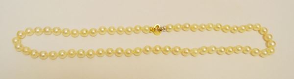 Collana ad un filo di sessanta perle, diam. mm 8, chiusura in oro giallo e bianco