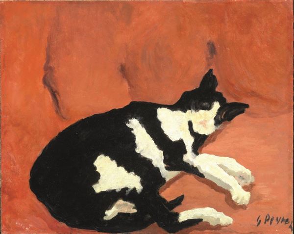 Guido Peyron   (Firenze 1898 - 1960)     LA GATTINA  olio su faesite, cm 42x52  firmato   sul retro della tavola: dedica ad personam e timbro della Galleria Santa Croce, Firenze   Esposizioni a cura di Vittorio Grotti, Mostra d'arte ai frati, Camaiore