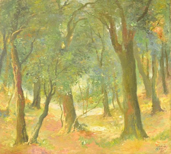 Mario Bucci   (1903-1970)   BOSCO  olio su tela, cm 54x64