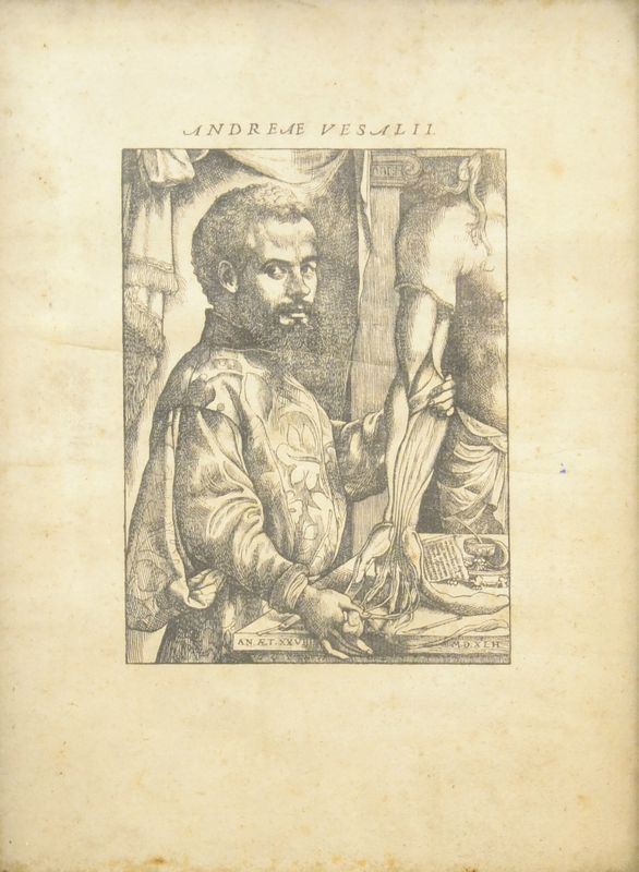 Incisione    RITRATTO DI ANDREA VESALI    sec. XVIII    cm 33,5x28