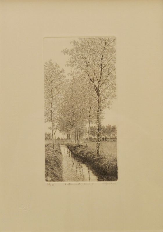 PAESAGGIO FLUVIALE TICINESE,   stampa, cm 20x10,5