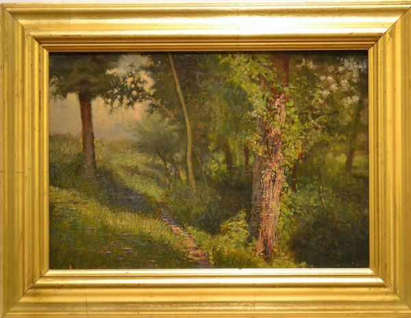 Scuola del sec. XIX-XX, BOSCO CON ALBERI  olio su tavola, cm 21,5x31