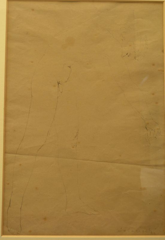 Giovanni Colacicchi   STUDIO ANATOMICO   matita su carta, cm 43x27,5   firmato  - Asta Arredi, oggetti d'arte, dipinti - Poggio Bracciolini Casa d'Aste