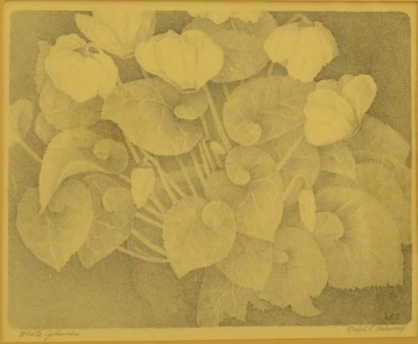 Scuola del sec. XX   WHITE CYCLAMEN   litografia, cm 15x19