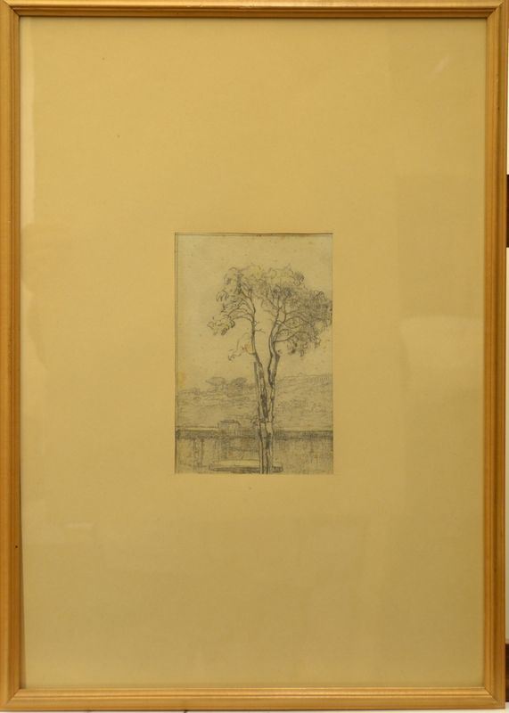 Scuola del sec. XX   ALBERO   matita su carta, cm 17x11