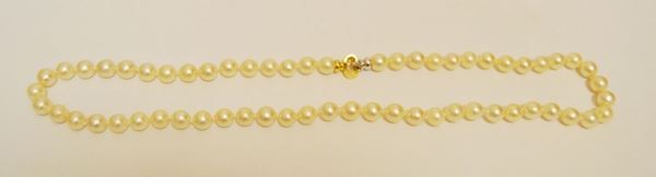 Collana ad un filo di sessanta perle, diam. mm 8, chiusura in oro giallo e bianco