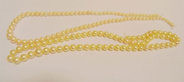 Due fili di perle coltivate degradanti (2)