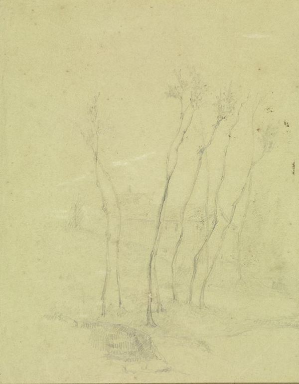 Anonimo, sec. XIX   PAESAGGIO CON ALBERI   Matita di grafite su carta verde chiaro mm 283x215