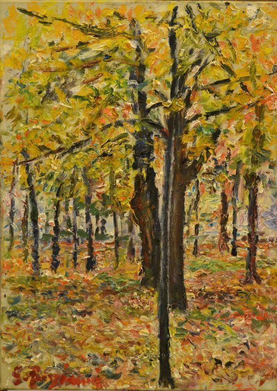 Guido Borgianni  (New York 1915-Firenze 2011)  BOSCO  olio su tela, cm 50x70