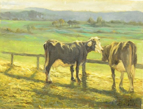 Scuola Italiana, sec. XX, MUCCHE AL PASCOLO, olio su tela, cm 40x30