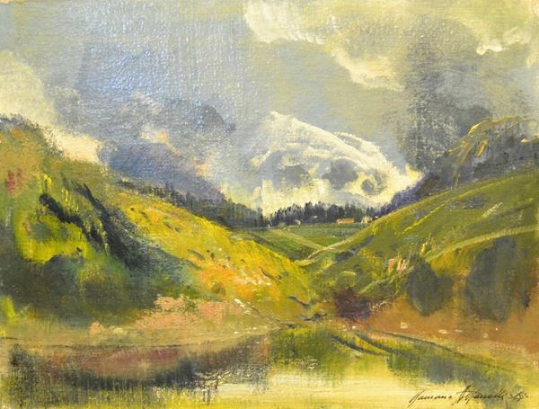  Romano Stefanelli ( Firenze 1931 ) PAESAGGIO MONTANO, olio su cartoncino telato, cm 30x40 