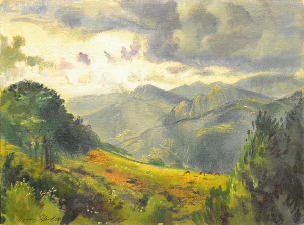  Romano Stefanelli ( Firenze 1931 ) VEDUTA DAL LAGHETTO, olio su cartoncino telato, cm 30x40 