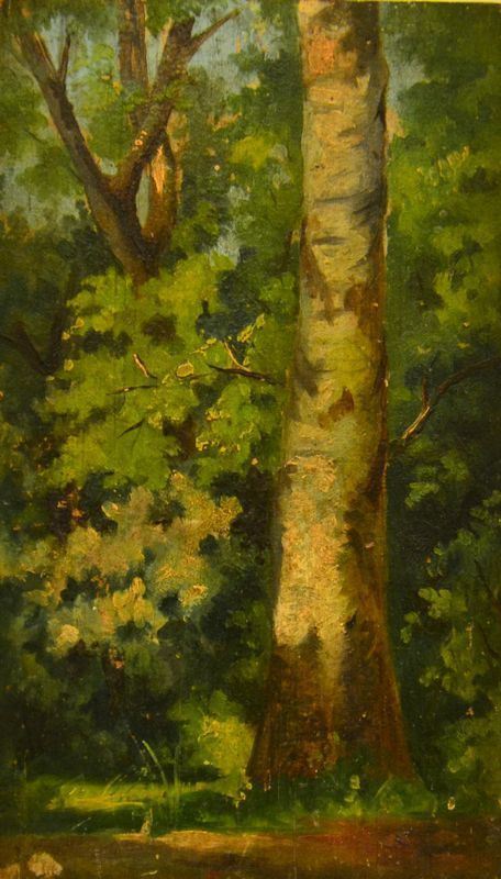 Scuola Italiana, sec. XIX, BOSCO, olio su tavoletta, cm 16x9,5