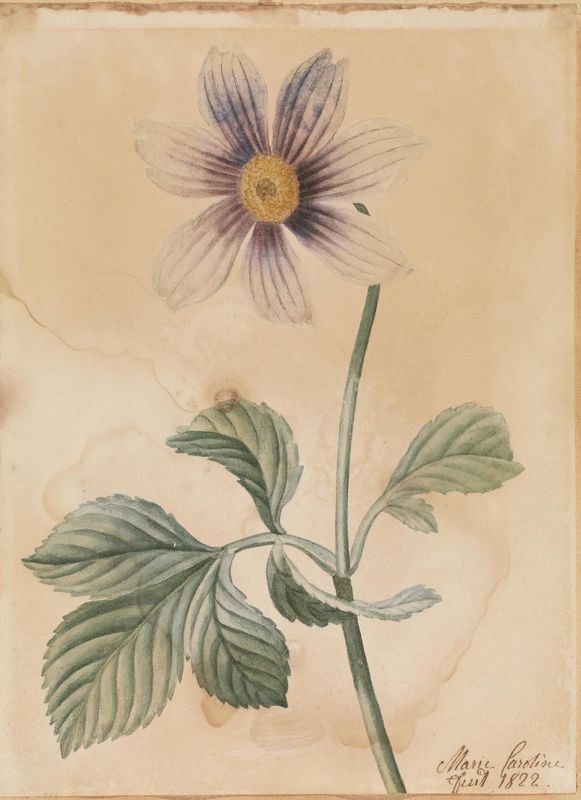 Maria Carolina di Borbone Duchessa di Berry  - Asta Antiquariato, Collezionismo & Gioielli - Poggio Bracciolini Casa d'Aste