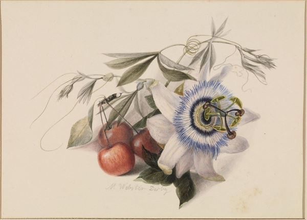 Derby, Moses Webster