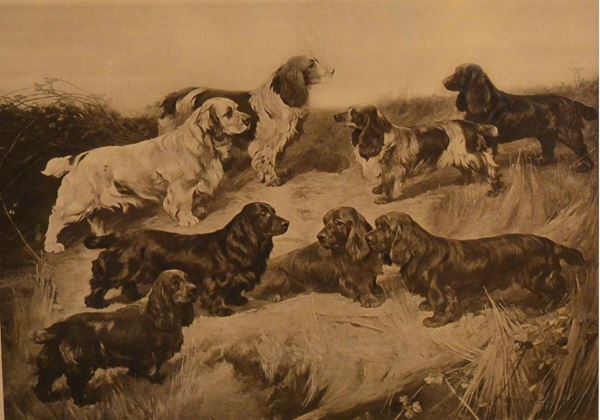 Stampa, Inghilterra, sec. XIX,  - Asta ARREDI, OGGETTI D'ARTE, DIPINTI E GIOIELLI - Poggio Bracciolini Casa d'Aste