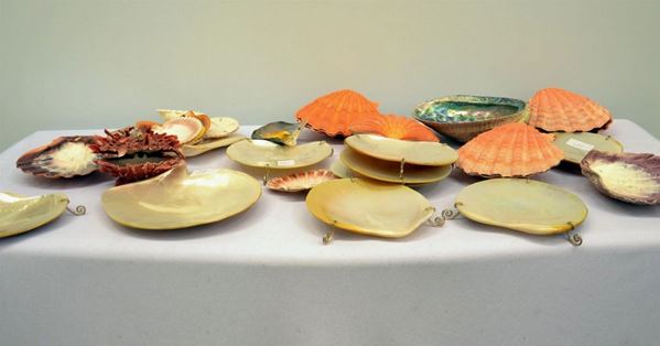Gruppo di trenta conchiglie  - Asta ARREDI, OGGETTI D'ARTE, DIPINTI E GIOIELLI - Poggio Bracciolini Casa d'Aste