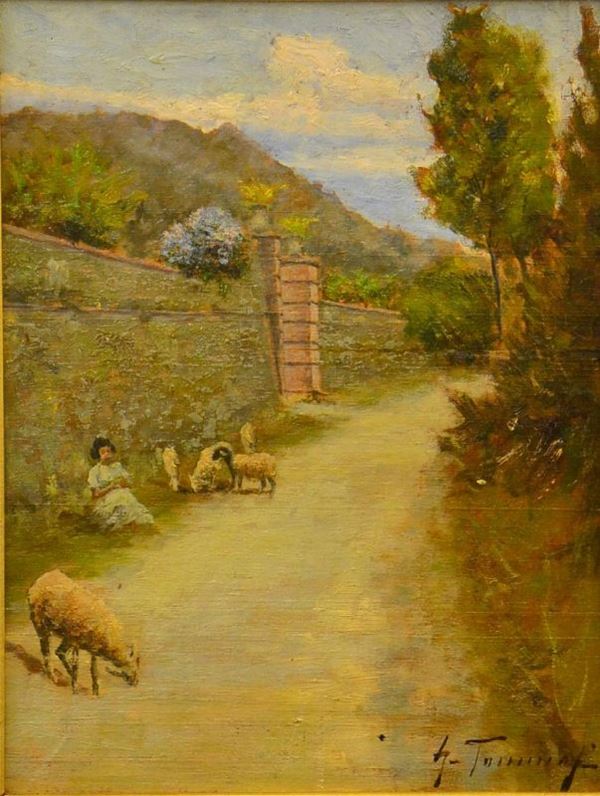 Gino Tommasi