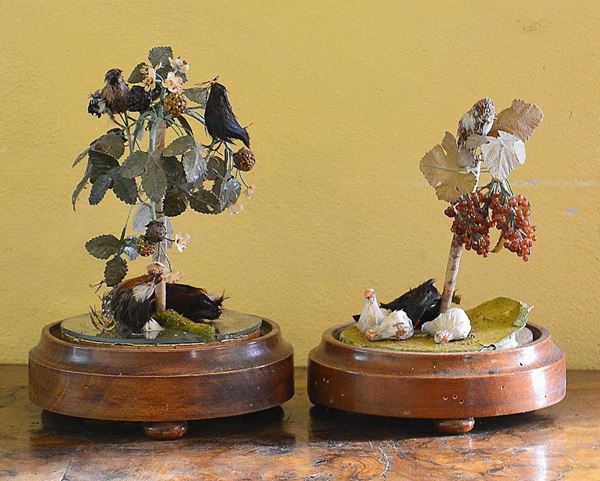 Due soprammobili, sec. XIX, raffiguranti volatili,