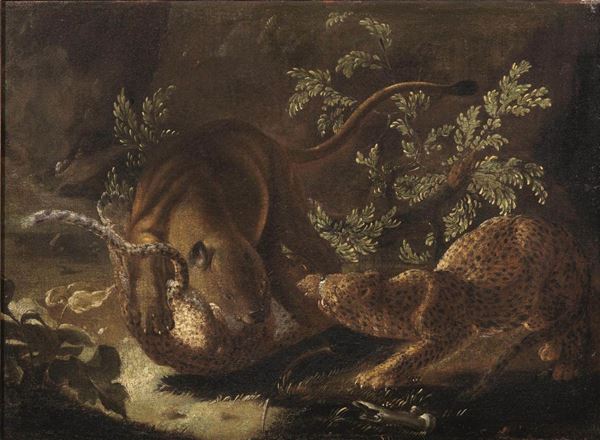 Scuola olandese, secc. XVII-XVIII