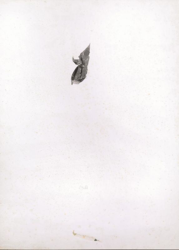 Vasco Bendini