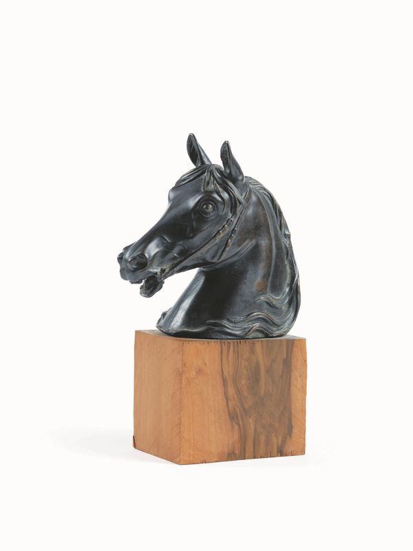 Testa di cavallo, fine secolo XIX