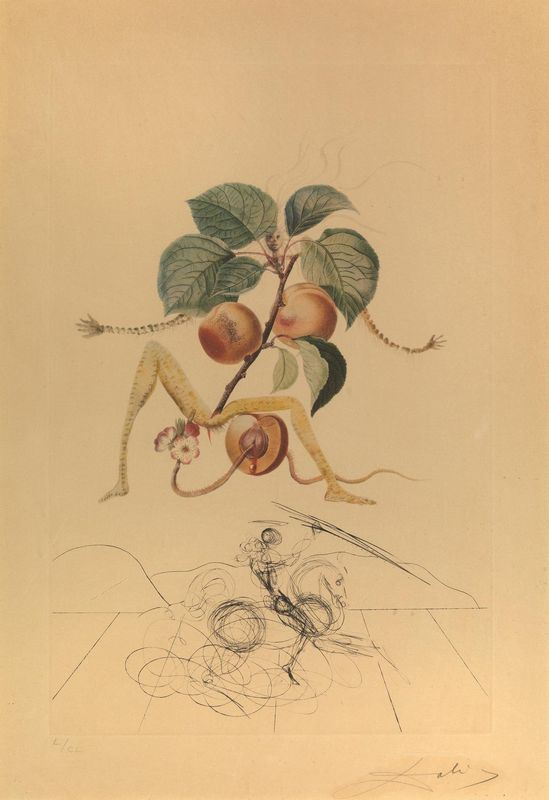 Salvador Dali'