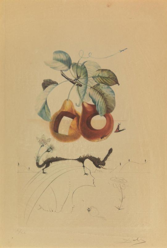 Salvador Dali'