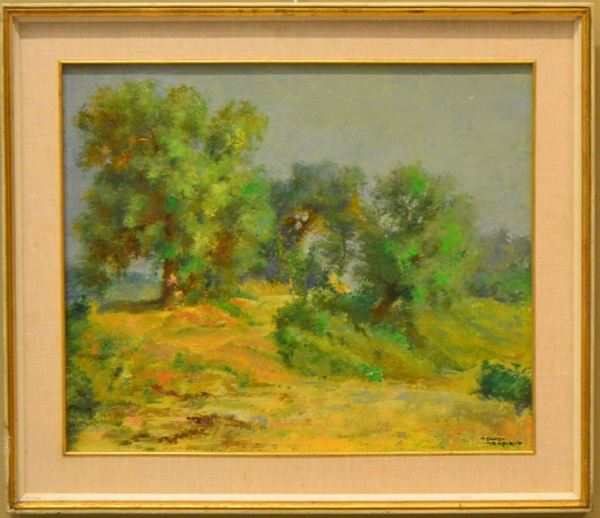Seve Sospizio                                                             