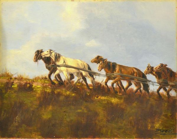 Mario Bordi