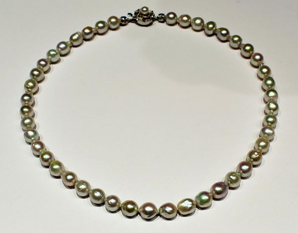 GIROCOLLO IN PERLE