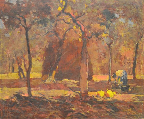 Ludovico Tommasi