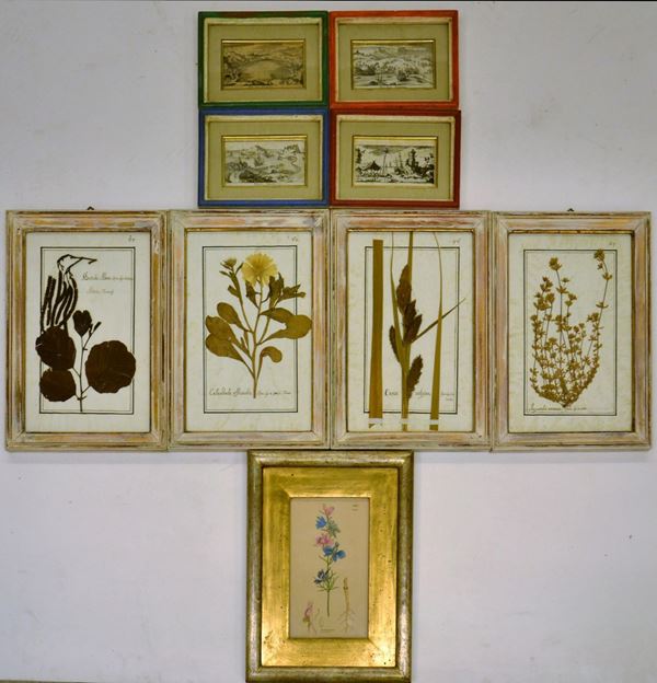 Quattro erbolari incorniciati&nbsp;&nbsp;&nbsp;&nbsp;&nbsp;&nbsp;&nbsp;&nbsp;&nbsp;&nbsp;&nbsp;&nbsp;&nbsp;&nbsp;&nbsp;&nbsp;&nbsp;&nbsp;&nbsp;&nbsp;&nbsp;&nbsp;&nbsp;&nbsp;&nbsp;&nbsp;&nbsp;&nbsp;&nbsp;&nbsp;&nbsp;&nbsp;&nbsp;&nbsp;&nbsp;&nbsp;&nbsp;&nbsp;&nbsp;&nbsp;&nbsp;&nbsp;&nbsp;&nbsp;&nbsp;