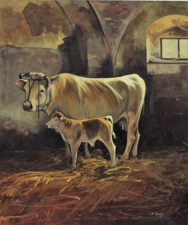 Bruno Tinucci