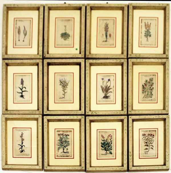 Serie di dodici Xilografie, Inghilterra, sec. XVII, acquerellate a mano, in
