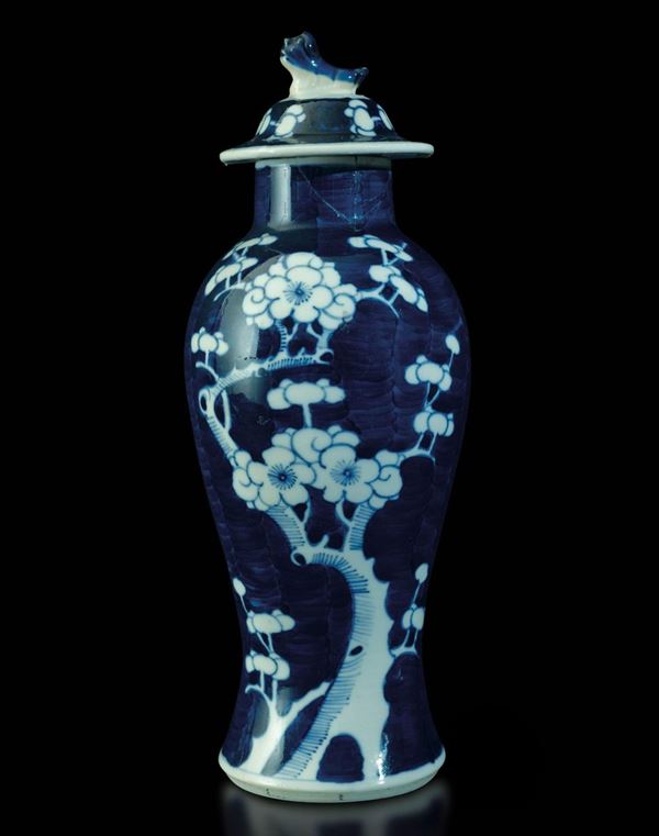 Piccola potiche, Cina, sec. XX, in porcellana bianca e blu con ramo di&nbsp;&nbsp;&nbsp;&nbsp;