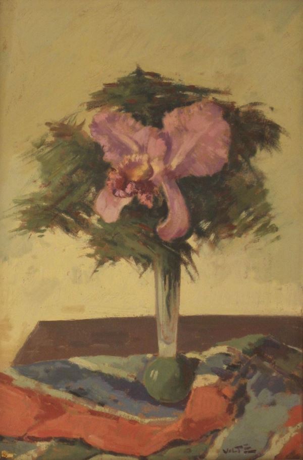 Angiolo Volpe&nbsp;&nbsp;&nbsp;&nbsp;&nbsp;&nbsp;&nbsp;&nbsp;&nbsp;&nbsp;&nbsp;&nbsp;&nbsp;&nbsp;&nbsp;&nbsp;&nbsp;&nbsp;&nbsp;&nbsp;&nbsp;&nbsp;&nbsp;&nbsp;&nbsp;&nbsp;&nbsp;&nbsp;&nbsp;&nbsp;&nbsp;&nbsp;&nbsp;&nbsp;&nbsp;&nbsp;&nbsp;&nbsp;&nbsp;&nbsp;&nbsp;&nbsp;&nbsp;&nbsp;&nbsp;&nbsp;&nbsp;&nbsp;&nbsp;&nbsp;&nbsp;&nbsp;&nbsp;&nbsp;&nbsp;&nbsp;&nbsp;&nbsp;&nbsp;&nbsp;&nbsp;