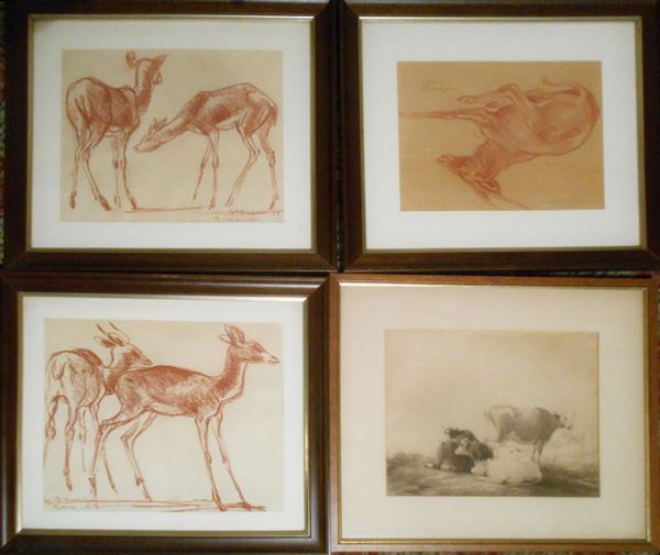 Quattro disegni, sec. XX, rappresentanti animali, firmati, cm 19x26 (4)&nbsp;&nbsp;&nbsp;