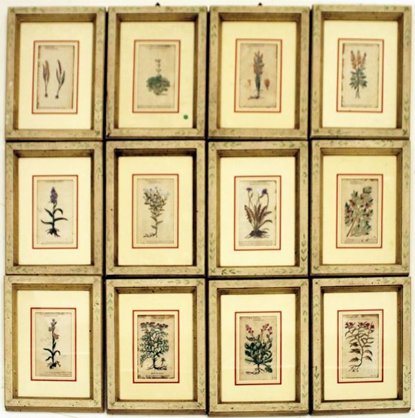 Serie di dodici Xilografie, Inghilterra, sec. XVII, acquerellate a mano, in