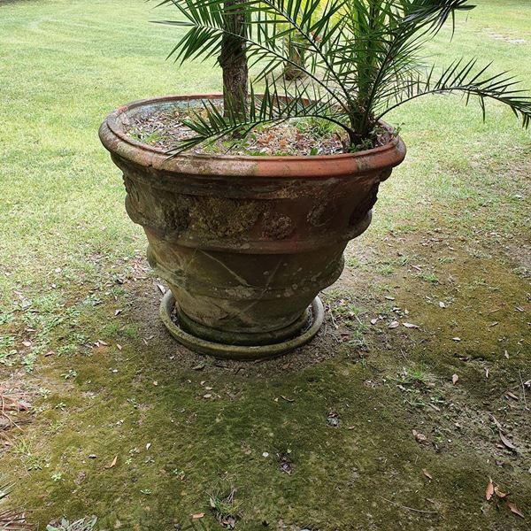 Conca, sec. XVIII, in terracotta lavorata con&nbsp;&nbsp;&nbsp;&nbsp;&nbsp;&nbsp;&nbsp;&nbsp;&nbsp;&nbsp;&nbsp;&nbsp;&nbsp;&nbsp;&nbsp;&nbsp;&nbsp;&nbsp;&nbsp;&nbsp;&nbsp;&nbsp;&nbsp;&nbsp;&nbsp;&nbsp;&nbsp;&nbsp;&nbsp;  - Asta BENI DA COLLEZIONE E ARREDI DA IMPORTANTI PROPRIETA' FIORENTINE E VERSILIESI - Poggio Bracciolini Casa d'Aste