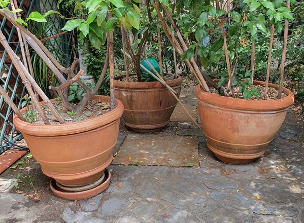 Tre conche, sec. XX, in terracotta,&nbsp;&nbsp;&nbsp;&nbsp;&nbsp;&nbsp;&nbsp;&nbsp;&nbsp;&nbsp;&nbsp;&nbsp;&nbsp;&nbsp;&nbsp;&nbsp;&nbsp;&nbsp;&nbsp;&nbsp;&nbsp;&nbsp;&nbsp;&nbsp;&nbsp;&nbsp;&nbsp;&nbsp;&nbsp;&nbsp;&nbsp;&nbsp;&nbsp;&nbsp;&nbsp;&nbsp;&nbsp;&nbsp;&nbsp;